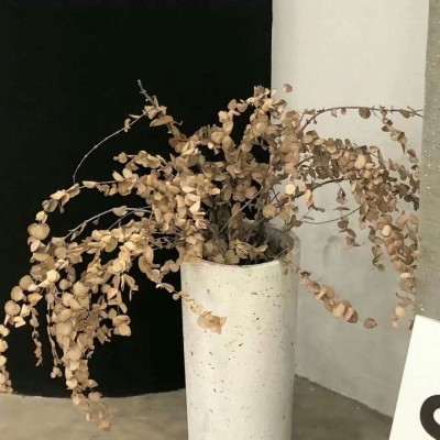 苏家屯FurryQQ群介绍